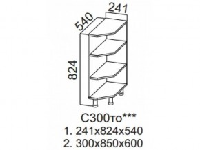 С300то Стол-рабочий 300 (торцевой открытый) в Артёмовском - artyomovskij.magazin-mebel74.ru | фото