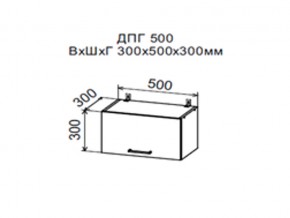 Шкаф верхний ДПГ500 горизонтальный в Артёмовском - artyomovskij.magazin-mebel74.ru | фото