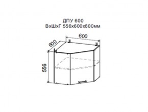Шкаф верхний ДПУ600 угловой в Артёмовском - artyomovskij.magazin-mebel74.ru | фото